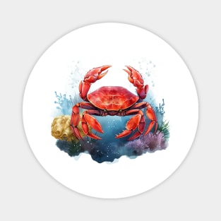 Red Crab Magnet
